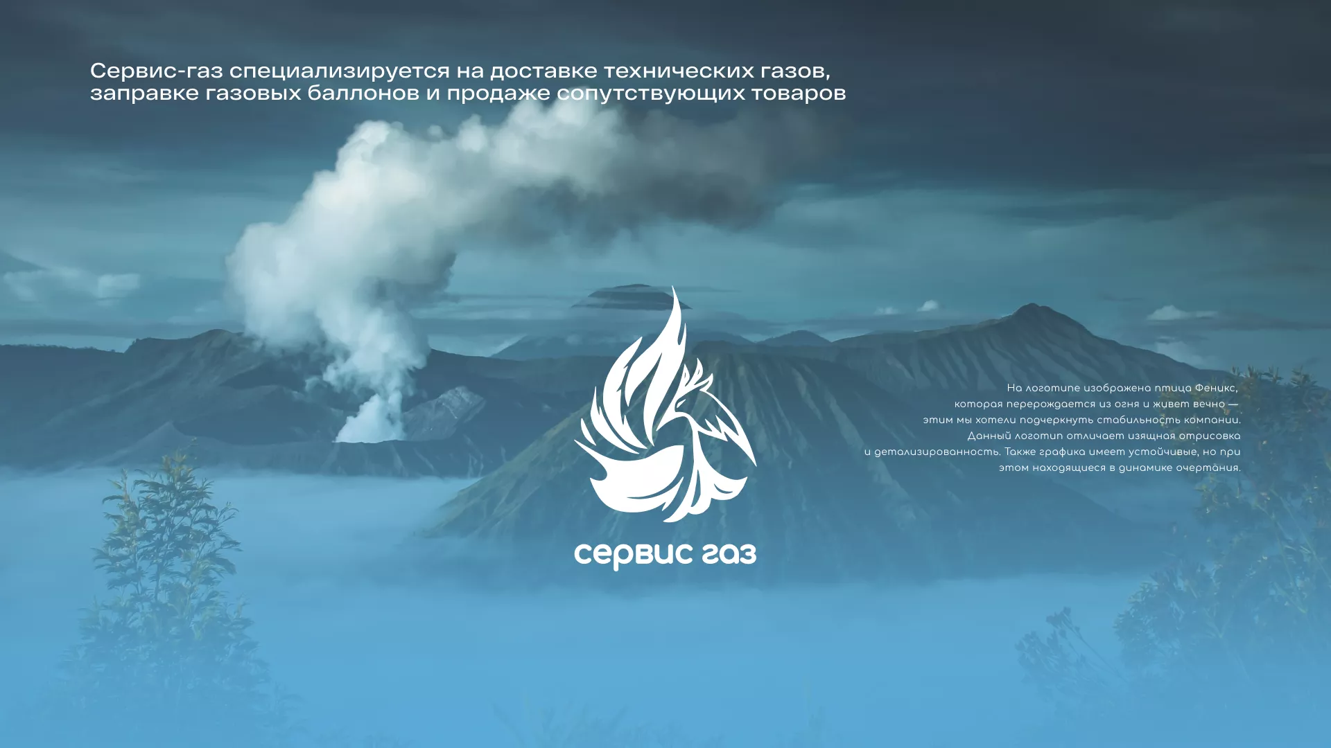 Создание сайта компании «Сервис газ» в Каргополе