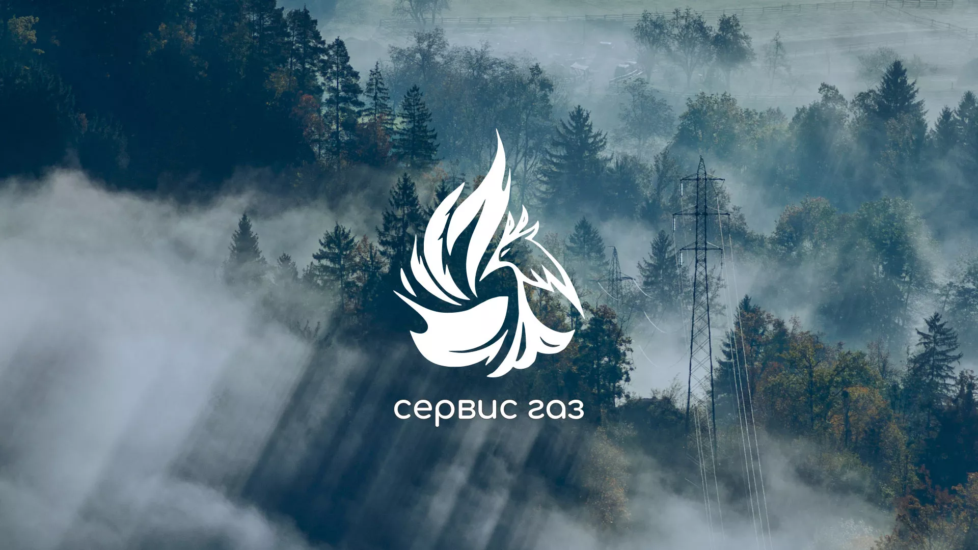 Создание сайта компании «Сервис газ» в Каргополе