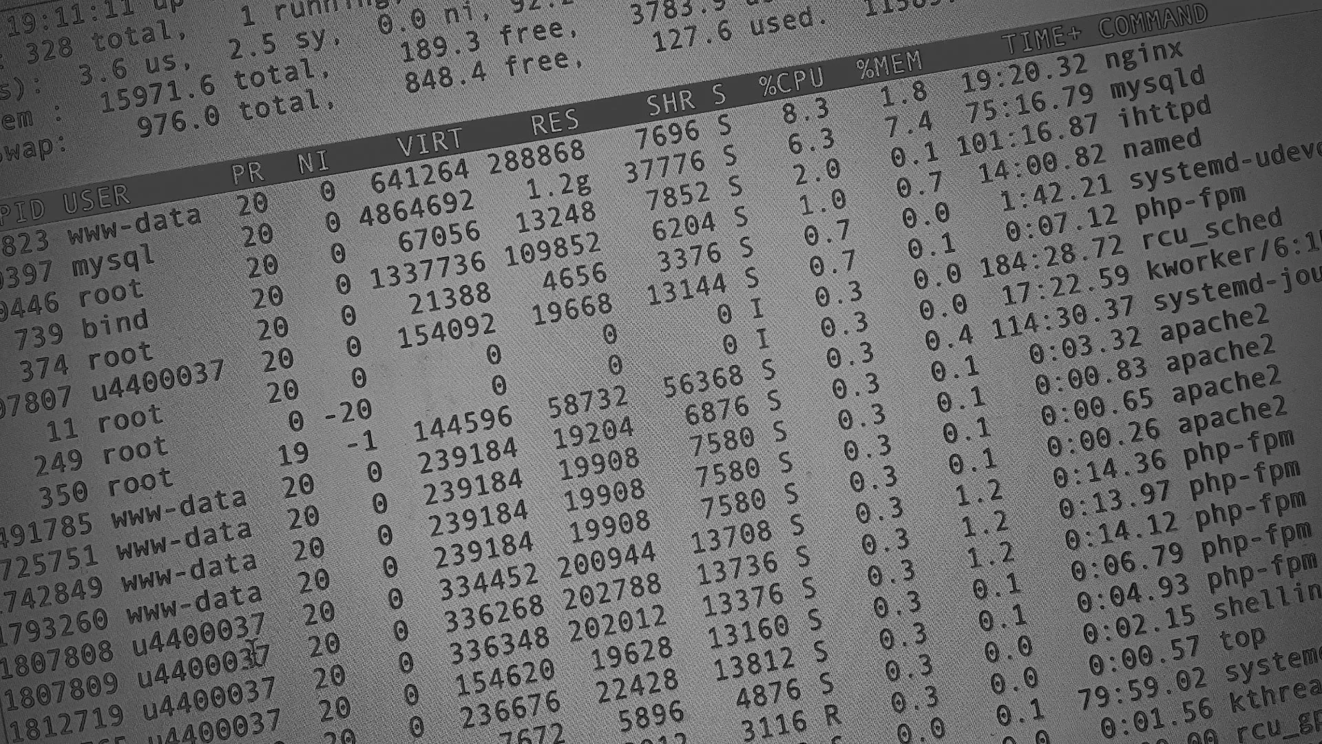 Настройка сервера в Каргополе