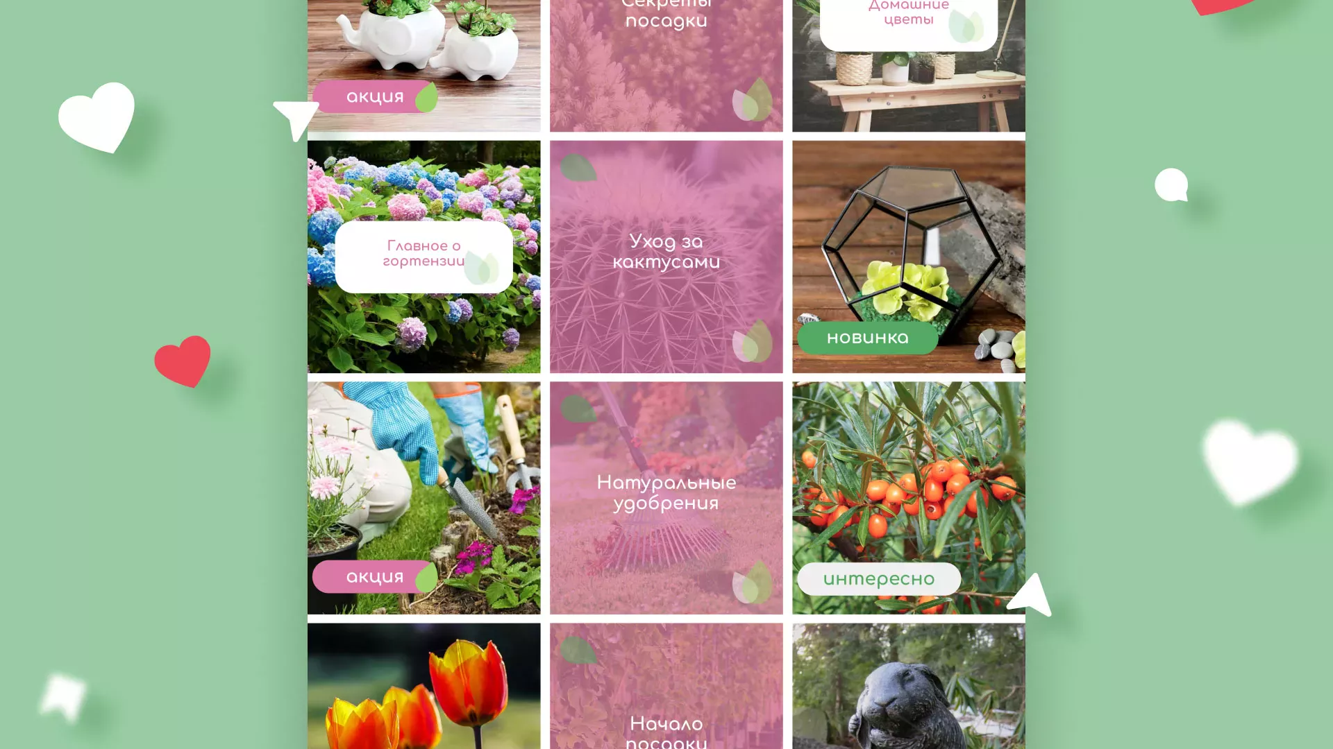 Разработка оформления профиля Instagram для магазина «Floraint» в Каргополе