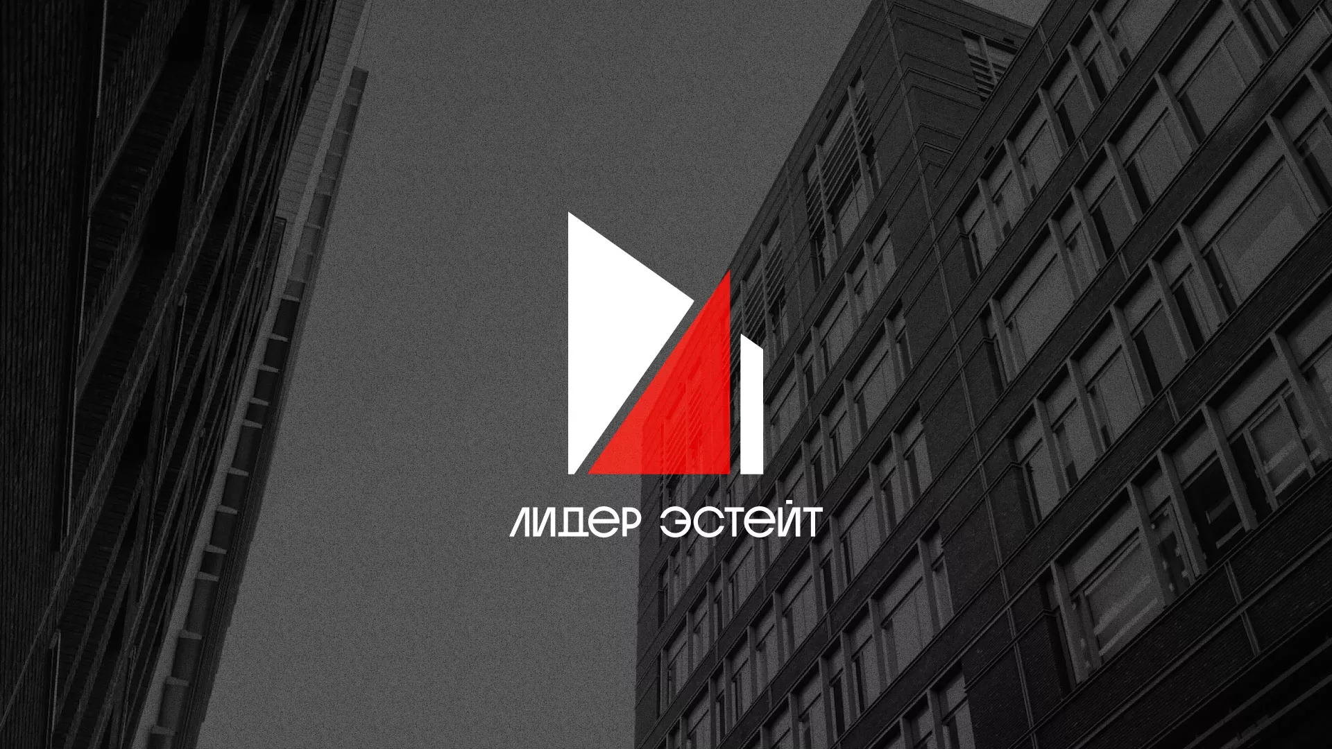 Сделали логотип для агентства недвижимости «Лидер Эстейт» в Каргополе